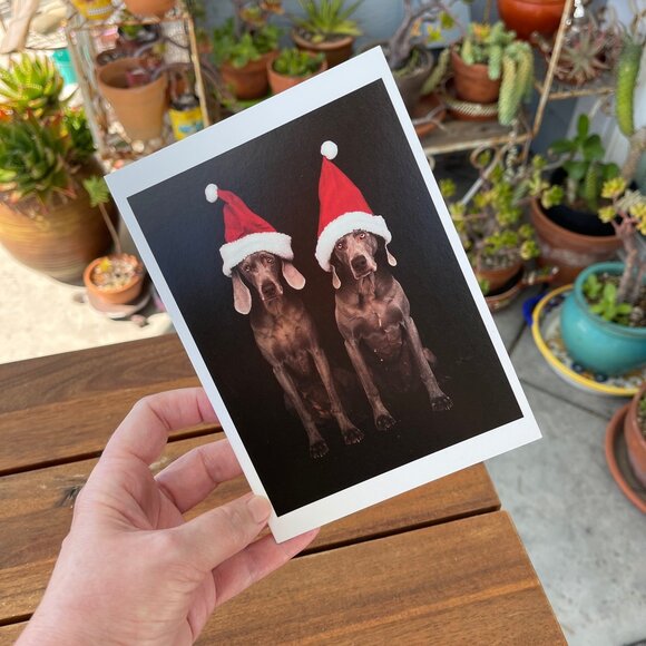 VINTAGE 90s 🐶 WILLIAM WEGMAN WEIMARANER DOG FOTOFOLIO CHRISTMAS CARD . 1995 XMAS - Picture 1 of 8